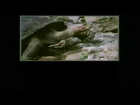 Thumbnail of the video: One Foot in the Grave Clean Opening Titles