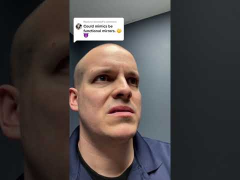 Can mimics become mirrors? And how accurate would they be?