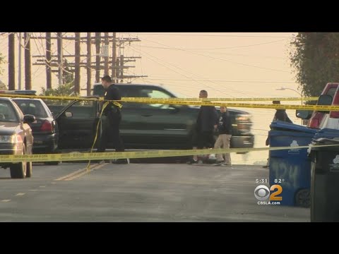 Woman Shot Dead Near Boyle Heights School