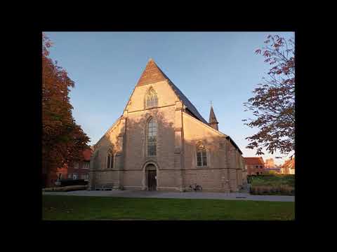 Le béguinage de Saint-Trond