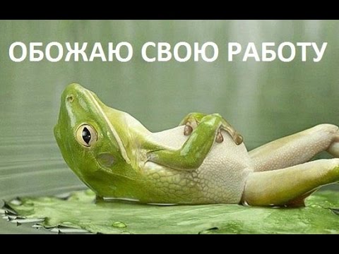 CPA Рунета. СРА бесплатный и платный трафик