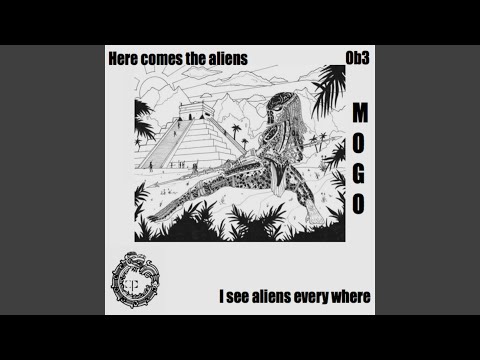 I See Aliens Everywhere (Borderline Skitzo Remix)
