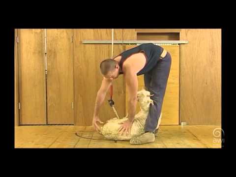 AWI Novice - Tips - Position and Control