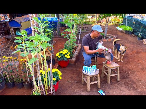 Sơn and BiBi cleaned the house and decorated it with flowers to welcome the Lunar New Year.