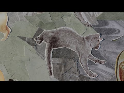 Knot Waking - Collage Animation Short Film - Lauren Flinner - Quarantine 2020 Pandemic