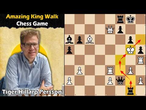 A Brilliant King Walk Chess Game | Hillarp Persson vs Laurusas 2018