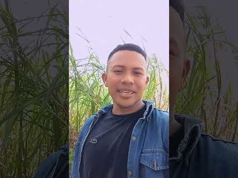 san Pedro  sucre