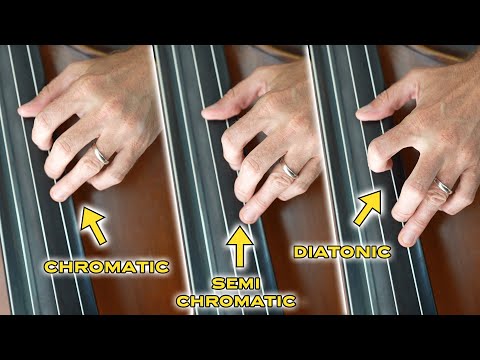 Unlocking the Power of Petracchi’s Simplified Higher Technique for Double Bass