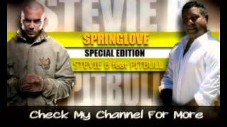 Stevie B feat. Pitbull - Spring Love 2013 (Lyrics)