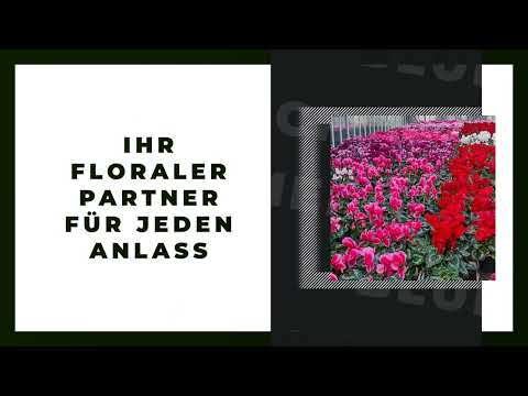 Blumen Block YouTube-Vdeominiatur 4
