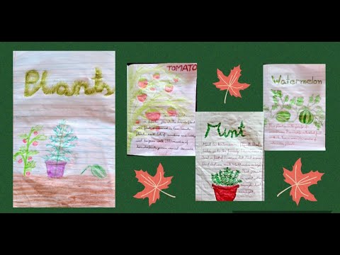 About Nature by Sarayu// 3 - Plants