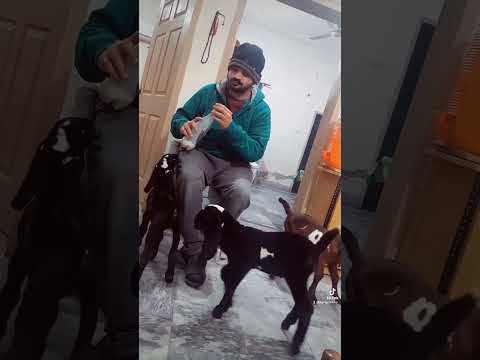 Srdi se mehfooz rkhain