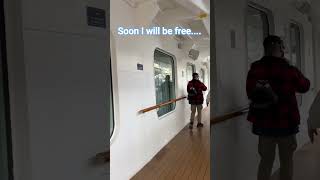 Sail away - Just a dream and wind to carry me (Gangway love) #cruising #travel #solotravel