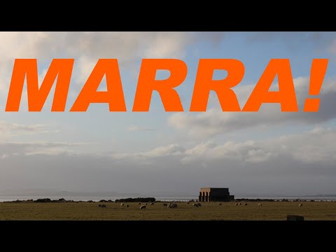 Marra! Episode 1: Lone Taxidermist