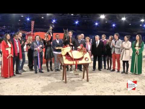 1st place-N.93 MORION - Paris 2015 - Junior Colts Championship (Class CM11)