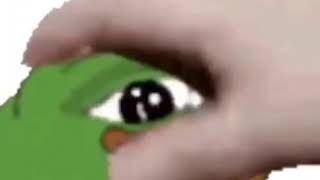 pepe pet