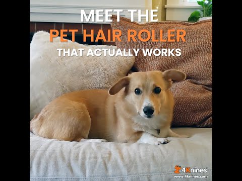Reusable Pet Hair Roller - For Dogs, Cats And Other Pets - For Your Couch, Bed, Clothing And More