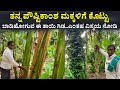 ತಾಯಿ ಗಿಡದ ವಿಸ್ಮಯ | Farming Agriculture ideas in Kannada | best farming methods in Karnataka