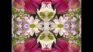 The Dogs Bark, But The Caravan Moves On (by Tom Russell live at the Rodeo Bar, NYC 2002)