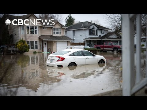 Flooding in Fraser Valley expected to peak today