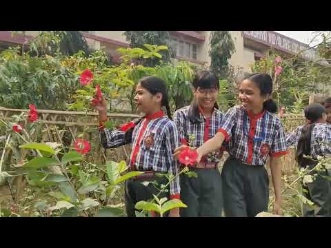ग्रीन कॉर्नर