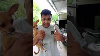 MI PERRITO SABE LEER #shorts