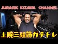 Triceps /上腕三頭筋 ガチトレ