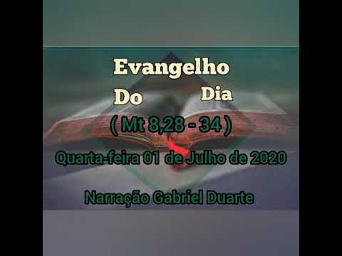 Evangelho do dia 01/07/2020 Com Reflexão ( Mt 8,28-34 )