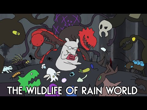 Cataloguing Rain World's Wildlife | An Exhaustive Analysis