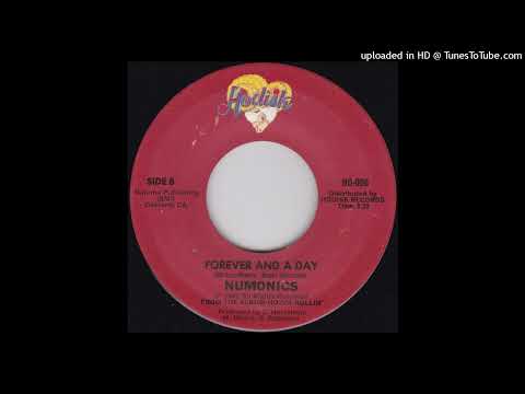 Rare Modern Soul Funk 45 Numonics – Forever And A Day