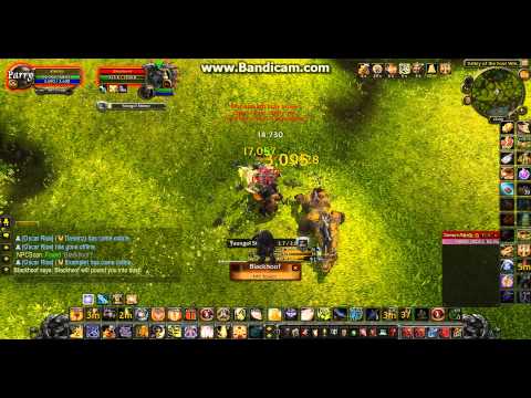 Level 80 Soloing Rare Elite Champions in Mists of Pandaria!