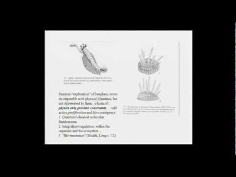 Giuseppe Longo – Zufälligkeit erhöht die biologische Organisation