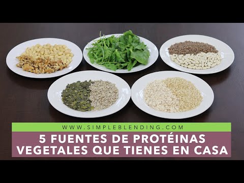 5 FUENTES DE PROTEÍNA VEGETAL | Cómo conseguir proteínas de origen vegetal fácilmente