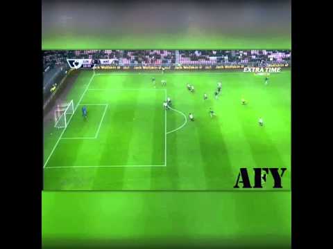Sunderland vs. Watford FC 0:1 2015/16 Great Goal
