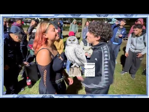 Megara vs JaviNew vs - ??? 8vos @Buhobattles f1