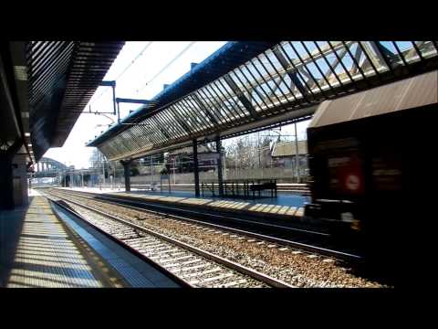 Straordinariamente Rogoredo