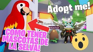 Iguz At Next New Now Vblog - 