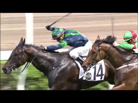 24/4/2022 (610) Reve Parisien - Keith Yeung