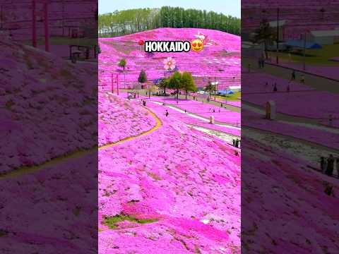 Most beautiful places in Japan 😍🇯🇵