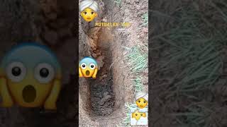 Download lagu SNAKE THAT TORTURES HUMANS IN THE GRAVE #SNAKE THAT TORTURES HUMANS IN THE GRAVE #shorts mp3 Download lagu SNAKE THAT TORTURES HUMANS IN THE GRAVE #SNAKE THAT TORTURES HUMANS IN THE GRAVE #shorts mp3