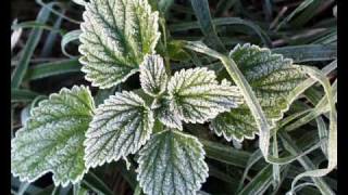 Eppu Normaali- Lensin matalalla