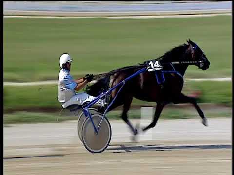 Trotto 23/06/2018 - 1ª corsa