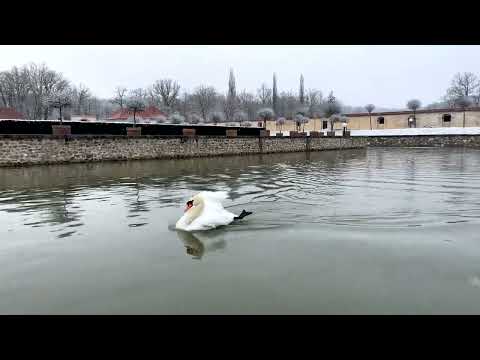 Přijměte pozvání na renesanční loďku