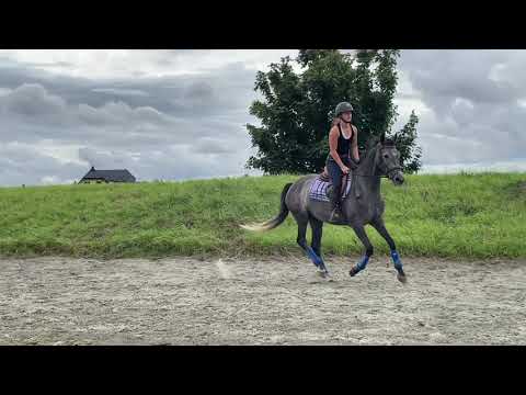 2021-08-22 Hypothèse Hecken obstacles