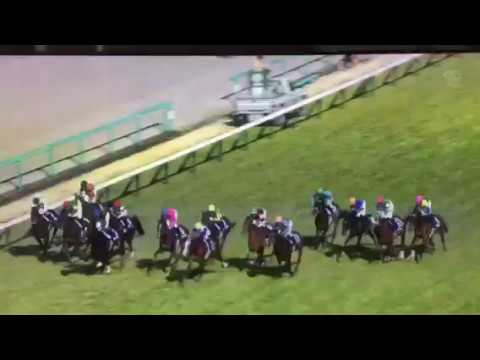 2017 大阪杯　キタサンブラック