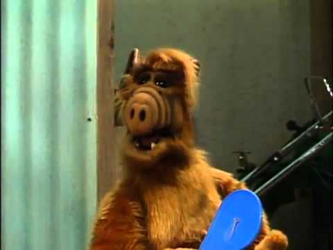 Alf y la paleta