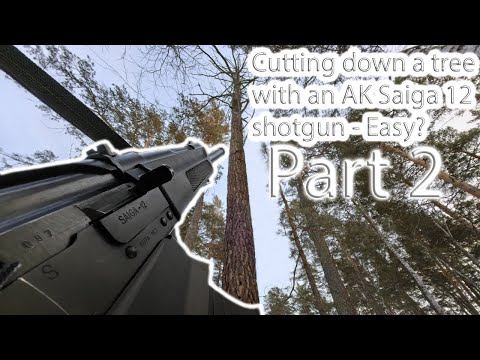 Cutting down a tree with an AK Saiga 12 shotgun - Easy? Part 2