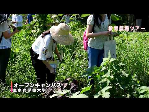 2017年8月6日　オープンキャンパスの様子