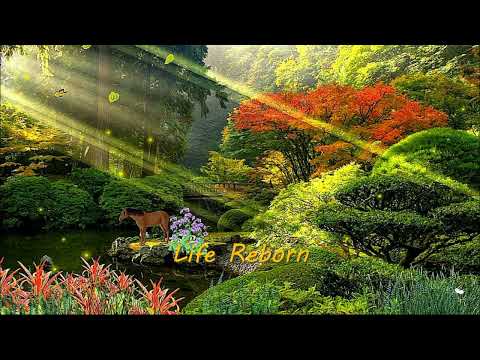 Marc Racordon - Life Reborn (soft piano)