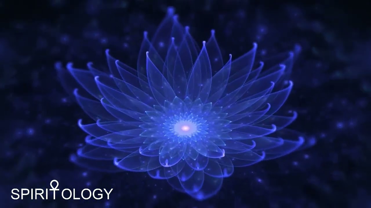 BLUE LOTUS